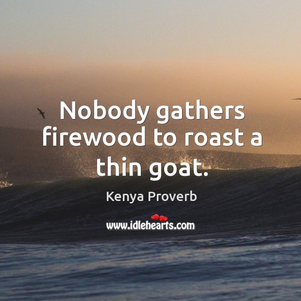 Nobody gathers firewood to roast a thin goat. Kenya Proverbs Image