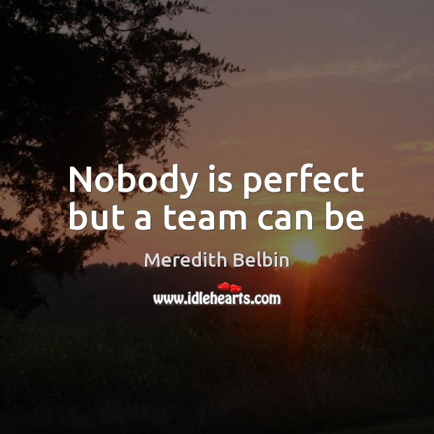 Nobody is perfect but a team can be Meredith Belbin Picture Quote
