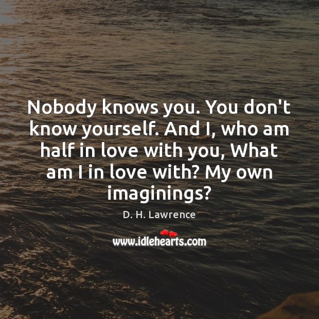 Nobody knows you. You don’t know yourself. And I, who am half D. H. Lawrence Picture Quote