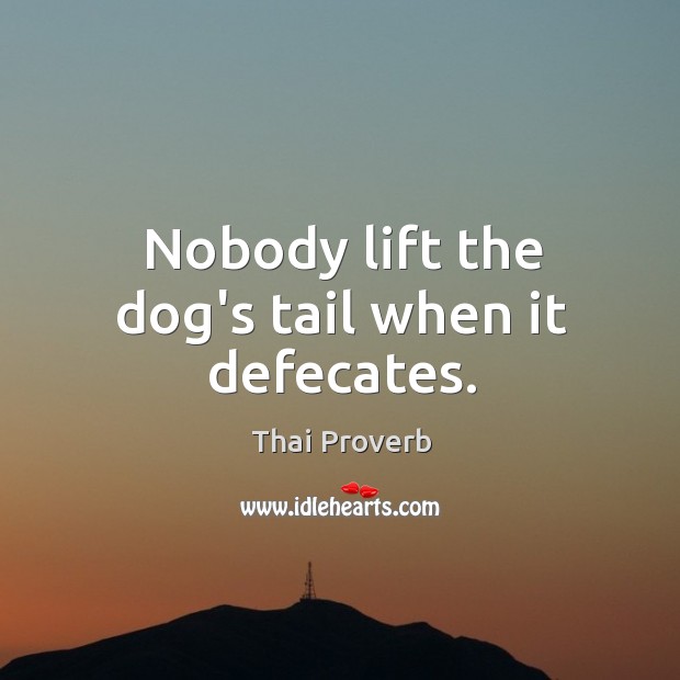 Nobody lift the dog’s tail when it defecates. Thai Proverbs Image
