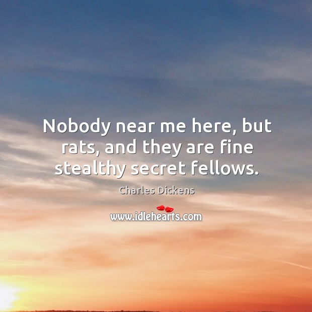 Nobody near me here, but rats, and they are fine stealthy secret fellows. Charles Dickens Picture Quote