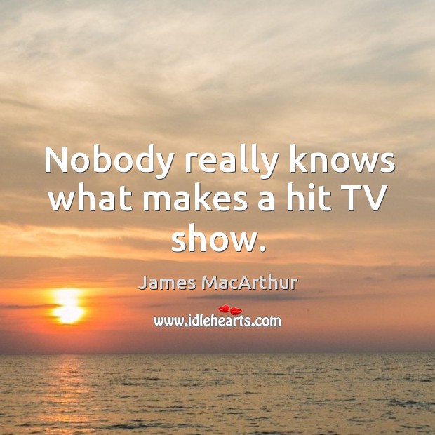 Nobody really knows what makes a hit tv show. James MacArthur Picture Quote