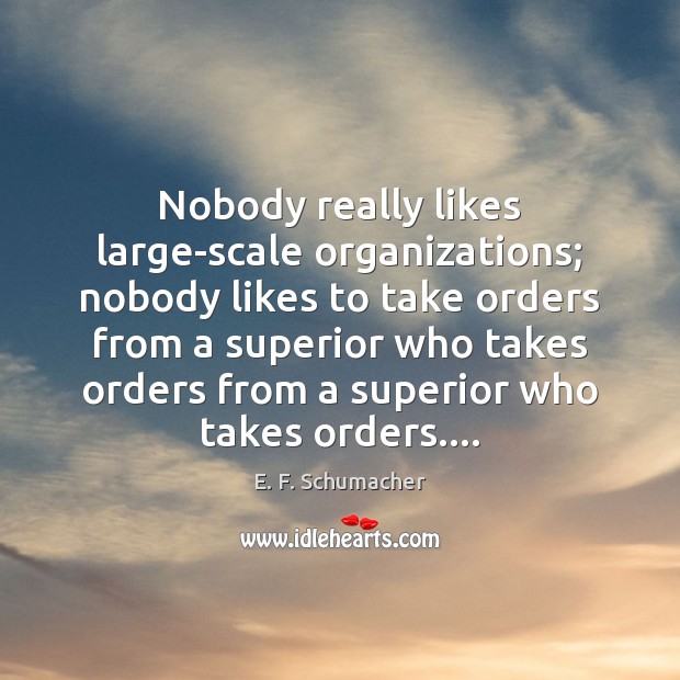 Nobody really likes large-scale organizations; nobody likes to take orders from a E. F. Schumacher Picture Quote