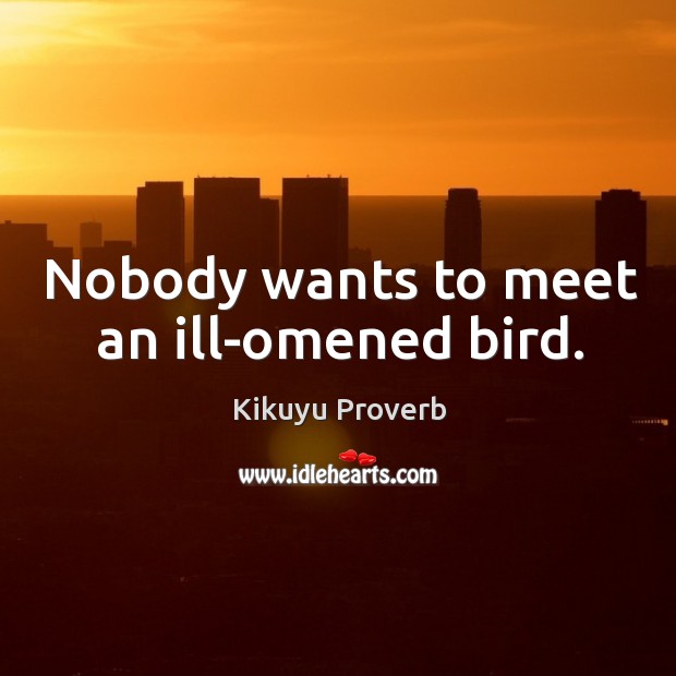 Nobody wants to meet an ill-omened bird. Image