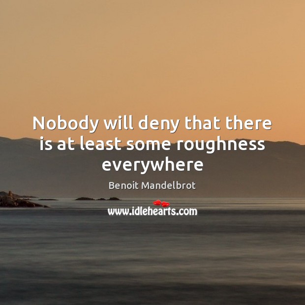 Nobody will deny that there is at least some roughness everywhere Benoit Mandelbrot Picture Quote