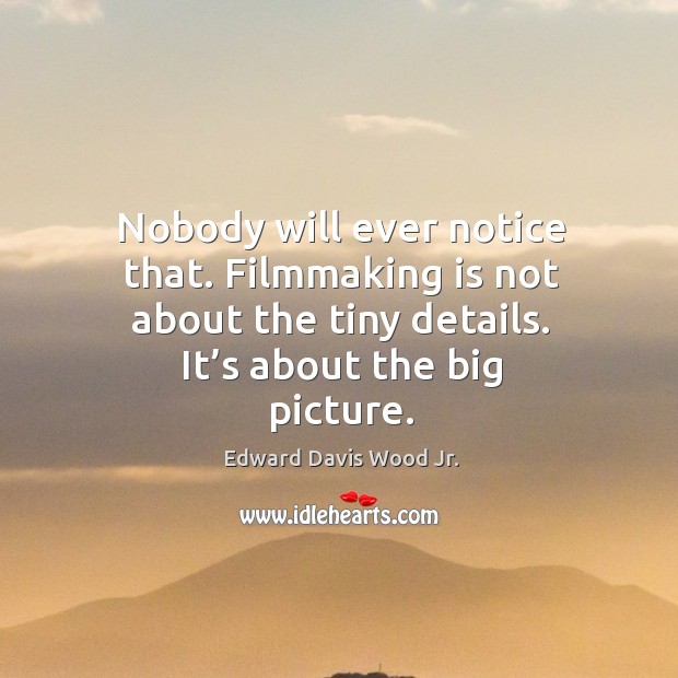 Nobody will ever notice that. Filmmaking is not about the tiny details. It’s about the big picture. Edward Davis Wood Jr. Picture Quote
