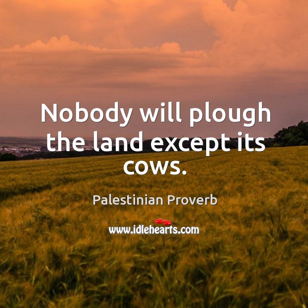Nobody will plough the land except its cows. Palestinian Proverbs Image