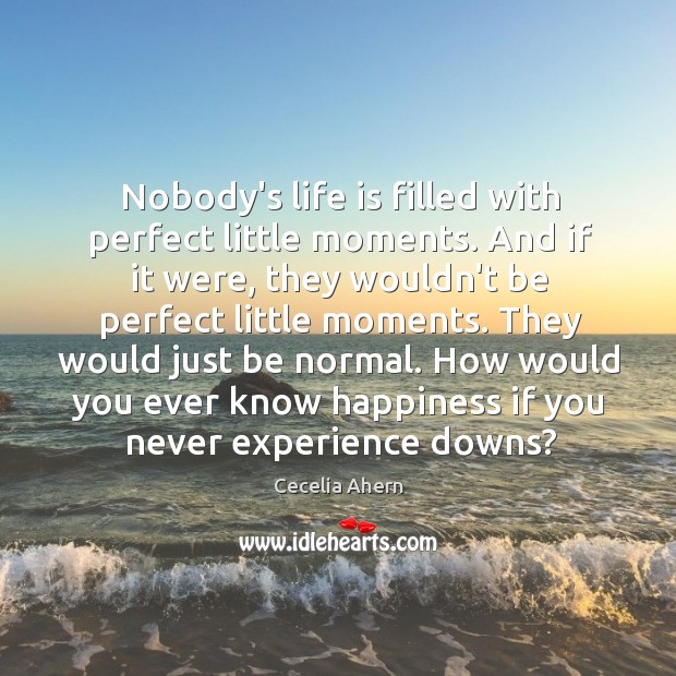 Nobody’s life is filled with perfect little moments. And if it were, Cecelia Ahern Picture Quote
