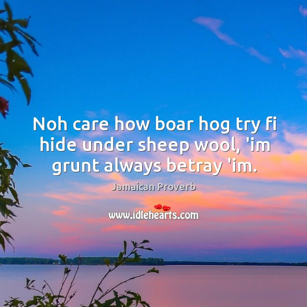 Noh care how boar hog try fi hide under sheep wool, ‘im grunt always betray ‘im. Jamaican Proverbs Image