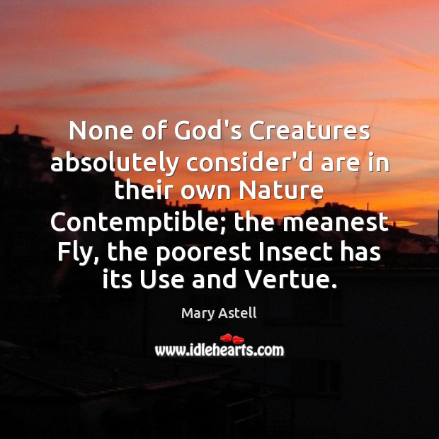 None of God’s Creatures absolutely consider’d are in their own Nature Contemptible; Image