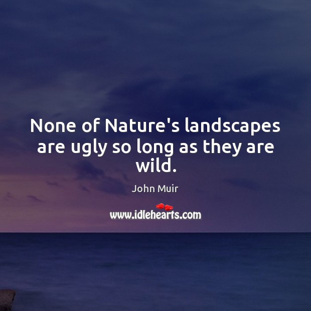 None of Nature’s landscapes are ugly so long as they are wild. John Muir Picture Quote