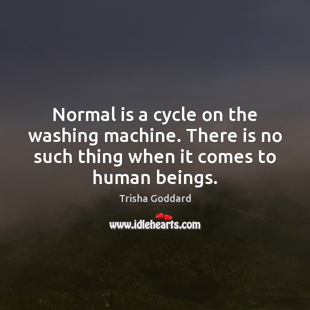 Normal is a cycle on the washing machine. There is no such Image