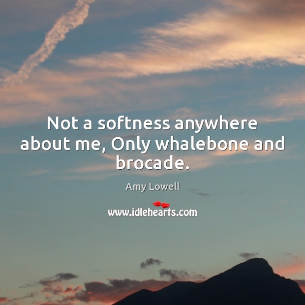 Not a softness anywhere about me, Only whalebone and brocade. Amy Lowell Picture Quote
