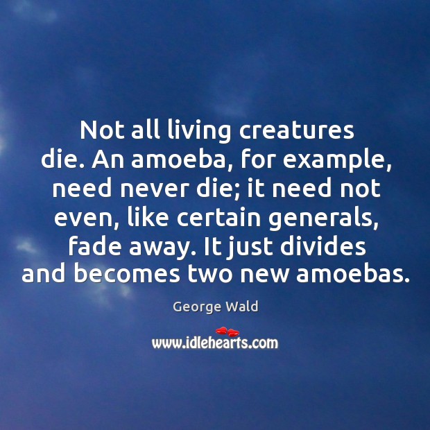Not all living creatures die. An amoeba, for example, need never die; George Wald Picture Quote