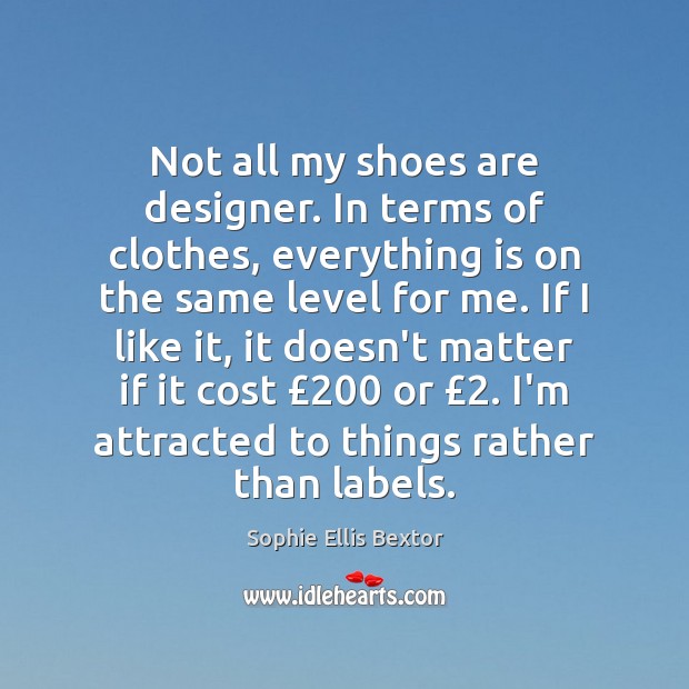 Not all my shoes are designer. In terms of clothes, everything is Sophie Ellis Bextor Picture Quote