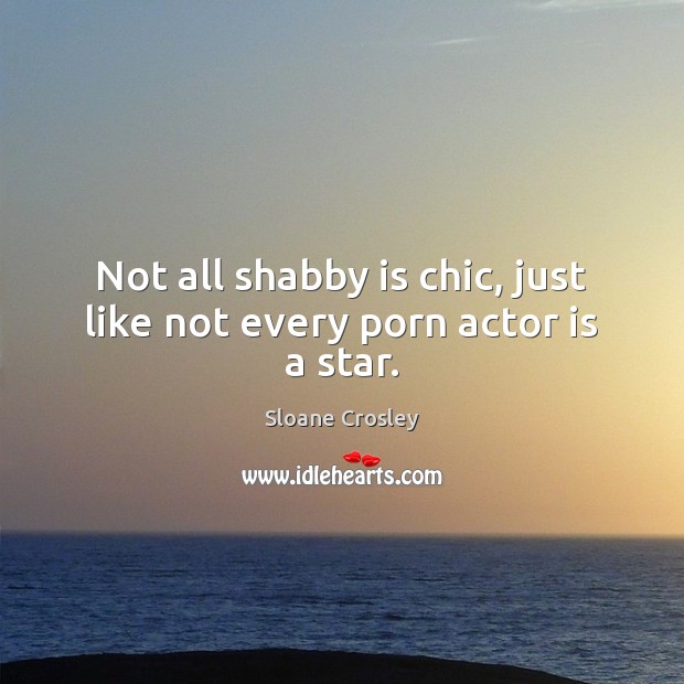 Not all shabby is chic, just like not every porn actor is a star. Sloane Crosley Picture Quote