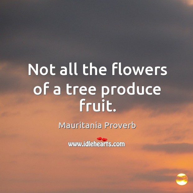 Not all the flowers of a tree produce fruit. Mauritania Proverbs Image