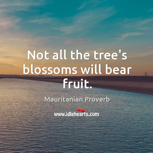 Not all the tree’s blossoms will bear fruit. Image