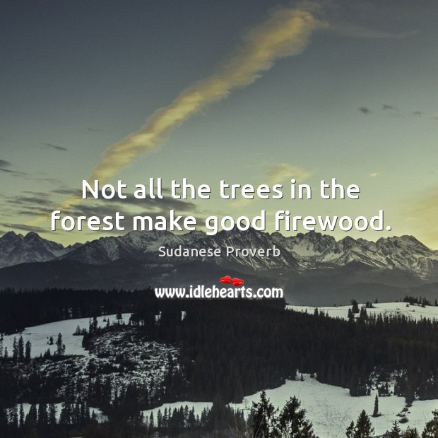 Not all the trees in the forest make good firewood. Sudanese Proverbs Image