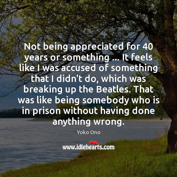 Not being appreciated for 40 years or something … It feels like I was Yoko Ono Picture Quote