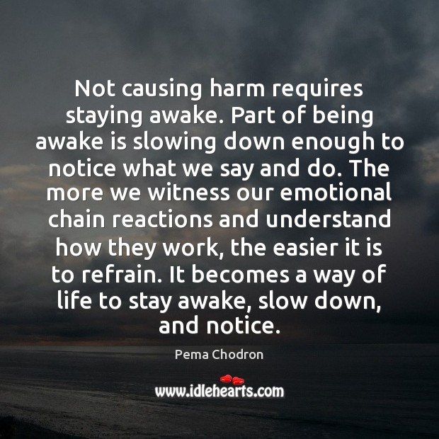 Not causing harm requires staying awake. Part of being awake is slowing Pema Chodron Picture Quote