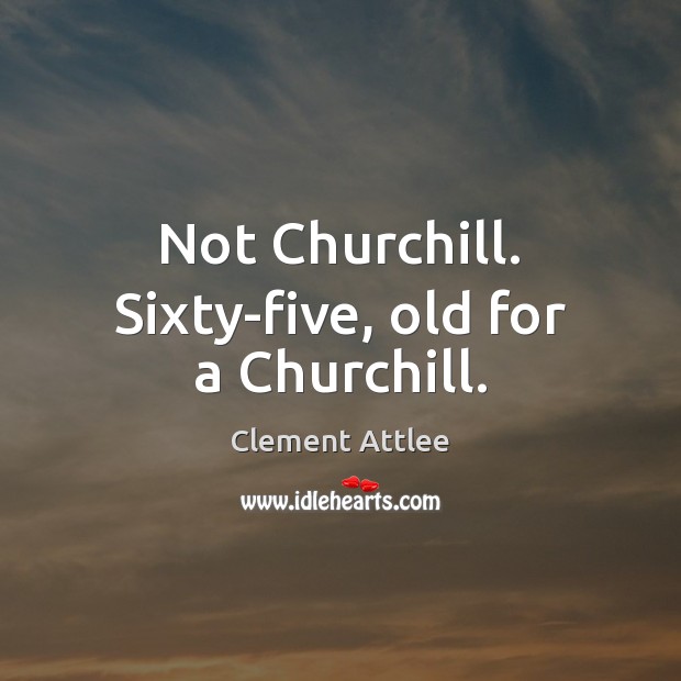 Not Churchill. Sixty-five, old for a Churchill. Image
