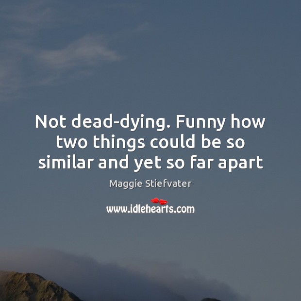 Not dead-dying. Funny how two things could be so similar and yet so far apart Maggie Stiefvater Picture Quote
