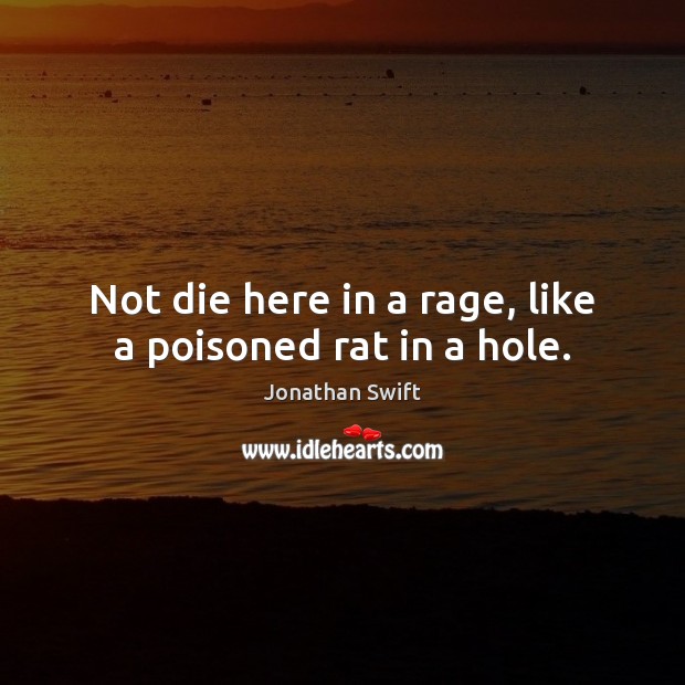 Not die here in a rage, like a poisoned rat in a hole. Jonathan Swift Picture Quote