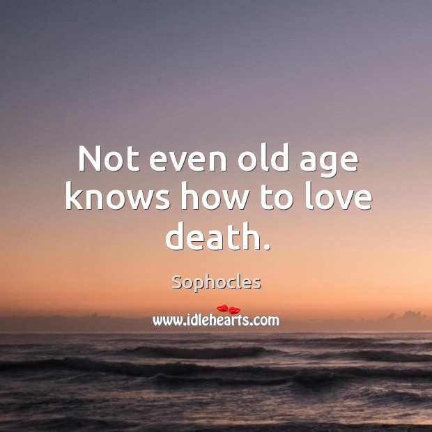 Not even old age knows how to love death. Sophocles Picture Quote