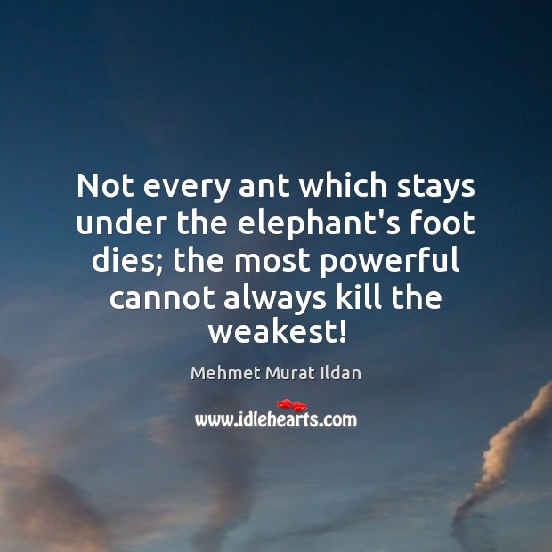 Not every ant which stays under the elephant’s foot dies; the most Mehmet Murat Ildan Picture Quote