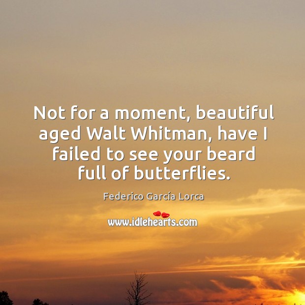 Not for a moment, beautiful aged walt whitman, have I failed to see your beard full of butterflies. Image