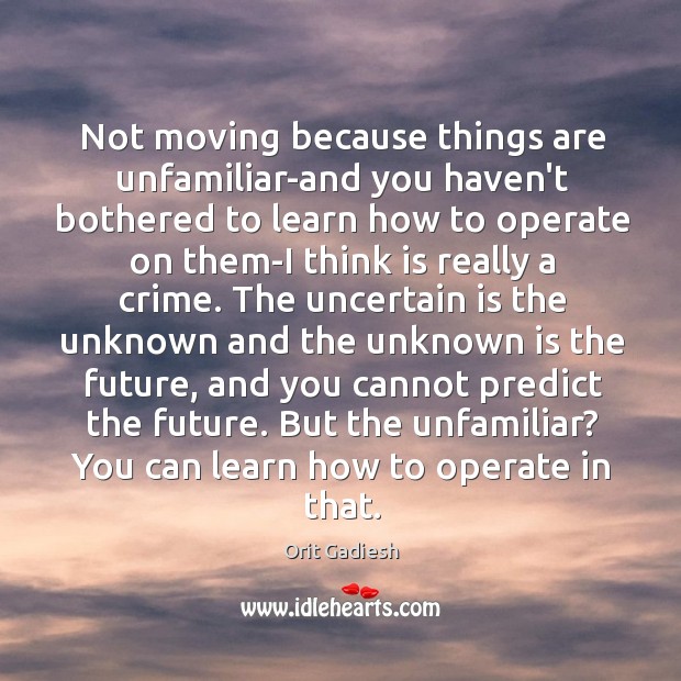 Not moving because things are unfamiliar-and you haven’t bothered to learn how Orit Gadiesh Picture Quote