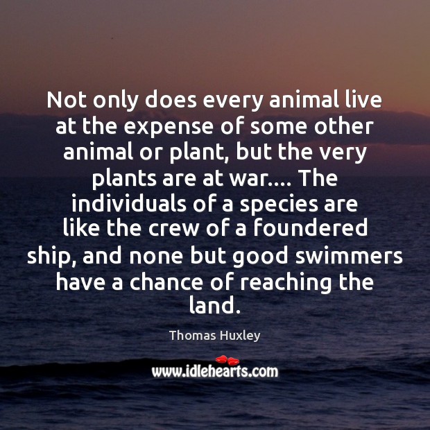 Not only does every animal live at the expense of some other Image