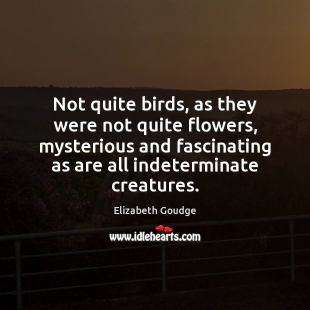 Not quite birds, as they were not quite flowers, mysterious and fascinating Elizabeth Goudge Picture Quote