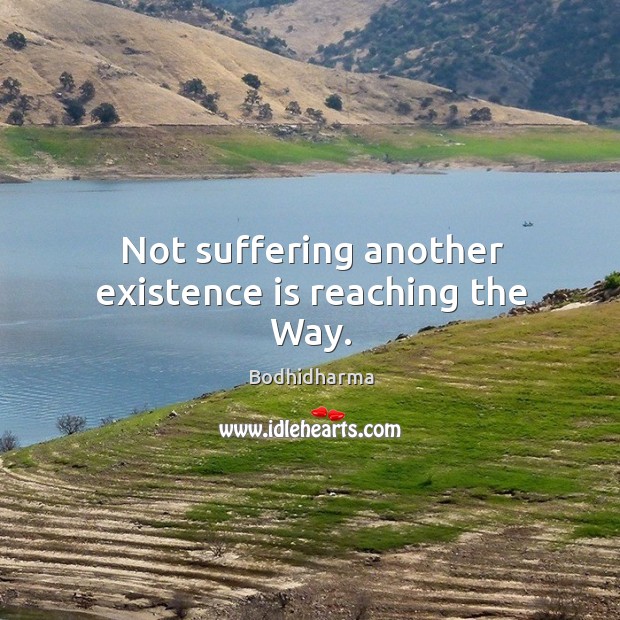Not suffering another existence is reaching the way. Bodhidharma Picture Quote
