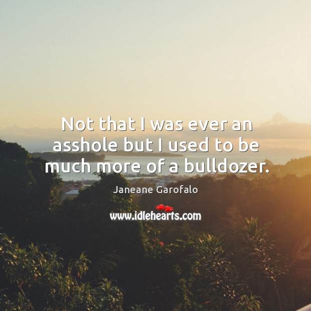 Not that I was ever an asshole but I used to be much more of a bulldozer. Janeane Garofalo Picture Quote