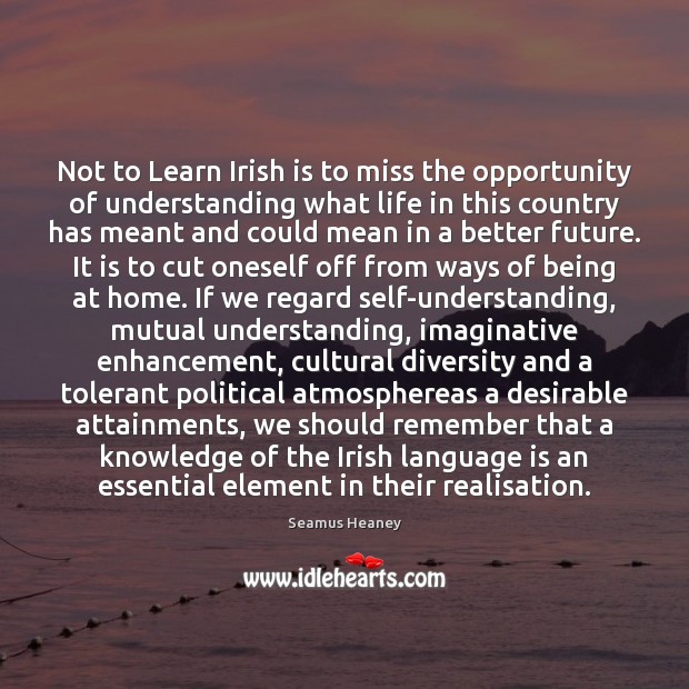 Not to Learn Irish is to miss the opportunity of understanding what Seamus Heaney Picture Quote