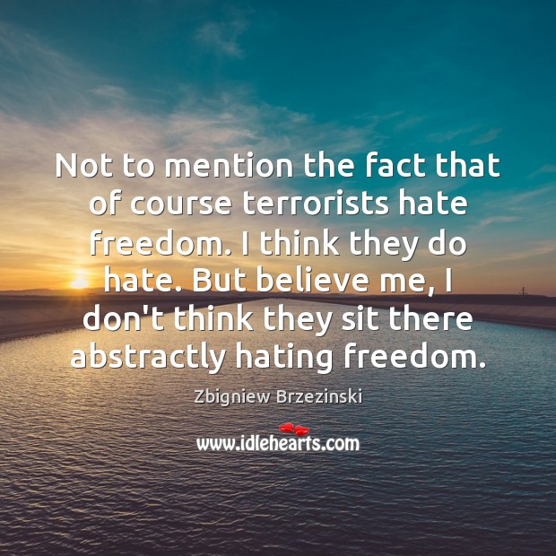 Not to mention the fact that of course terrorists hate freedom. I Image