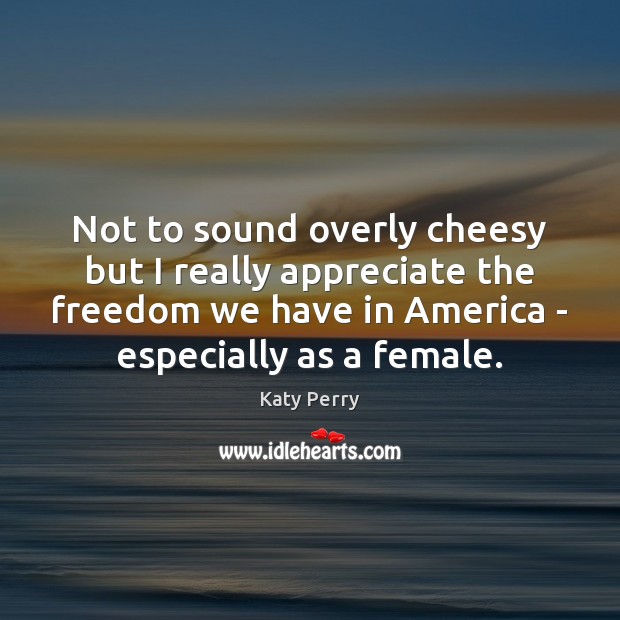 Not to sound overly cheesy but I really appreciate the freedom we Katy Perry Picture Quote