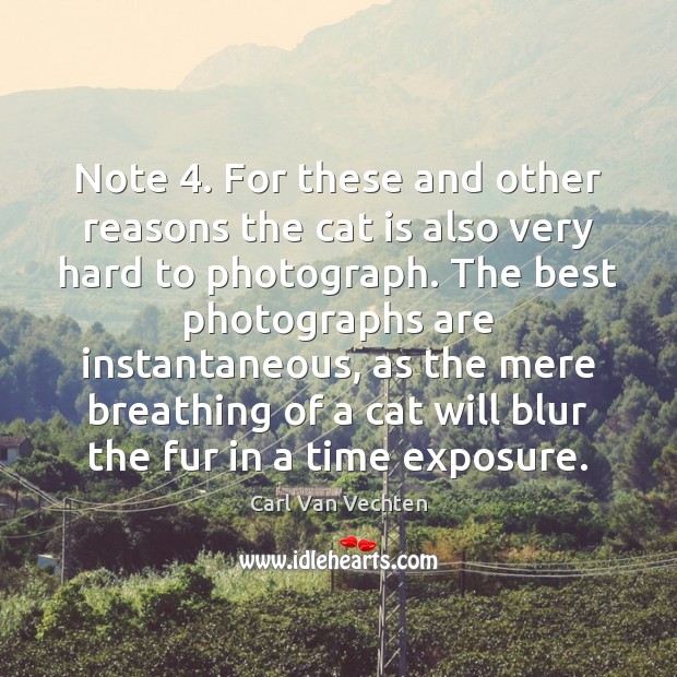Note 4. For these and other reasons the cat is also very hard Carl Van Vechten Picture Quote