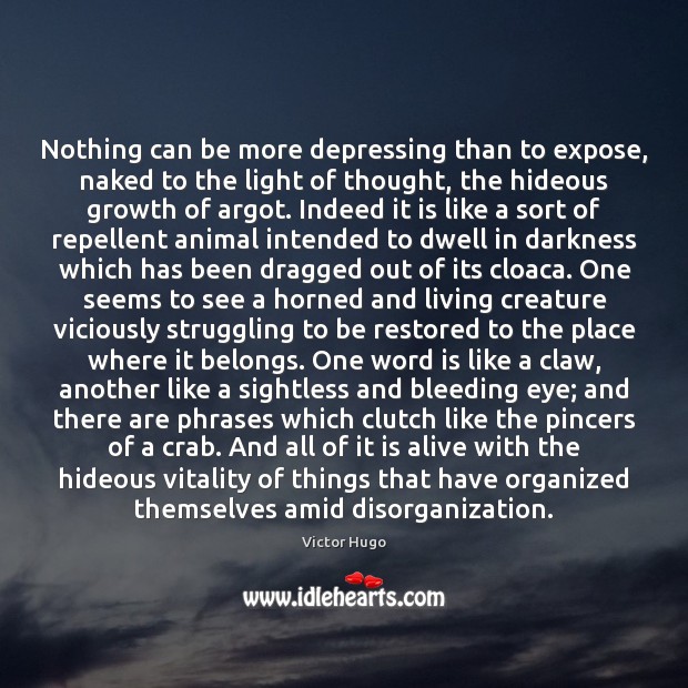 Nothing can be more depressing than to expose, naked to the light Victor Hugo Picture Quote