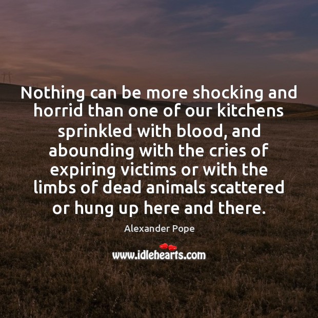 Nothing can be more shocking and horrid than one of our kitchens Alexander Pope Picture Quote