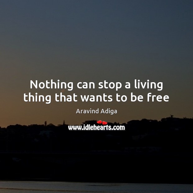 Nothing can stop a living thing that wants to be free Aravind Adiga Picture Quote