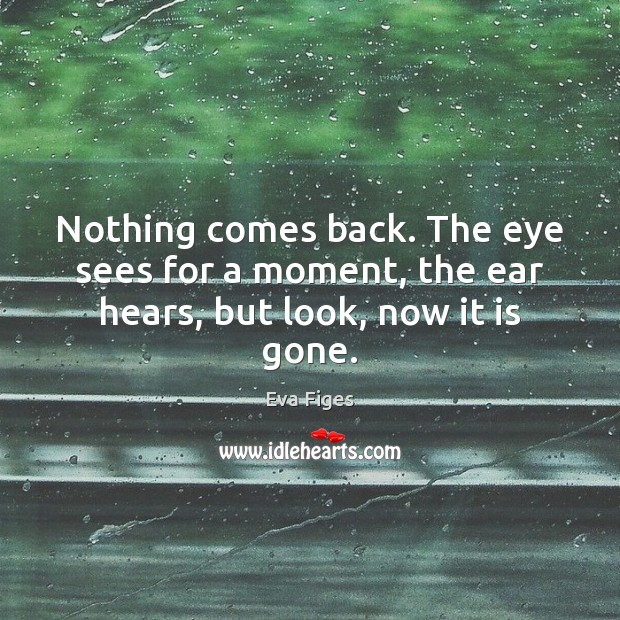 Nothing comes back. The eye sees for a moment, the ear hears, but look, now it is gone. Eva Figes Picture Quote