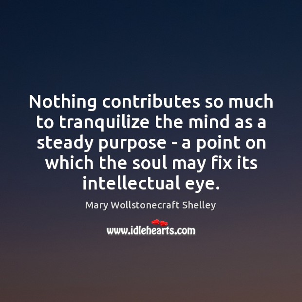 Nothing contributes so much to tranquilize the mind as a steady purpose Image