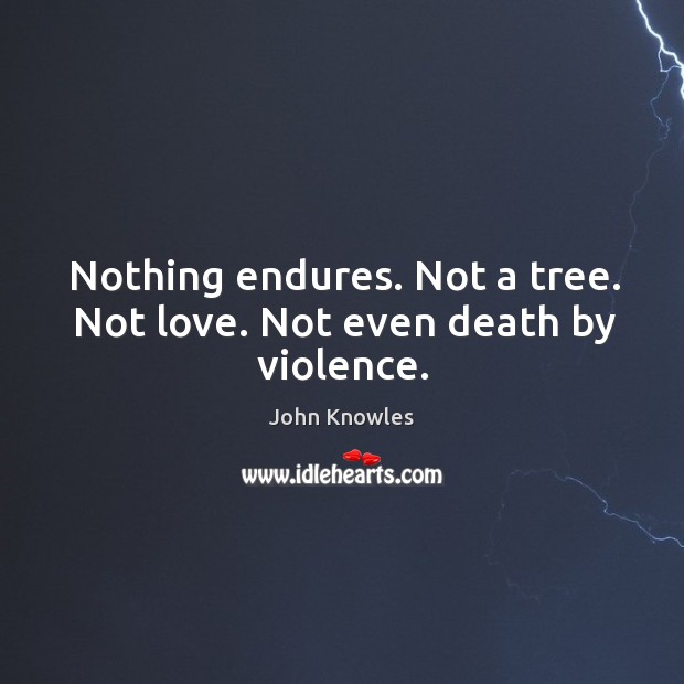 Nothing endures. Not a tree. Not love. Not even death by violence. John Knowles Picture Quote
