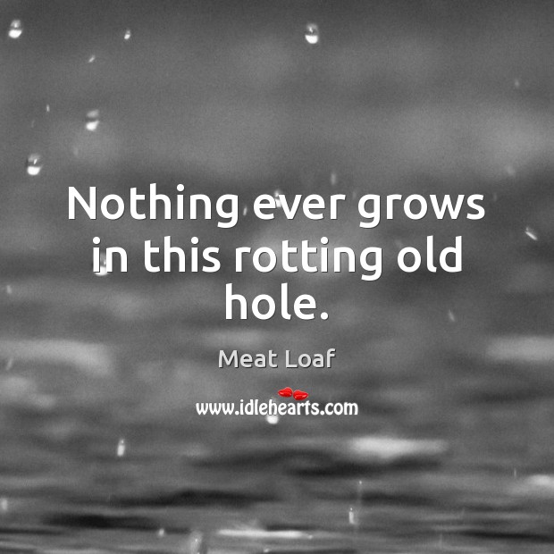 Nothing ever grows in this rotting old hole. Meat Loaf Picture Quote