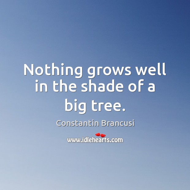 Nothing grows well in the shade of a big tree. Constantin Brancusi Picture Quote