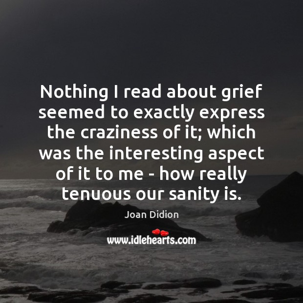 Nothing I read about grief seemed to exactly express the craziness of Joan Didion Picture Quote