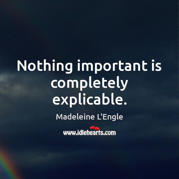 Nothing important is completely explicable. Image